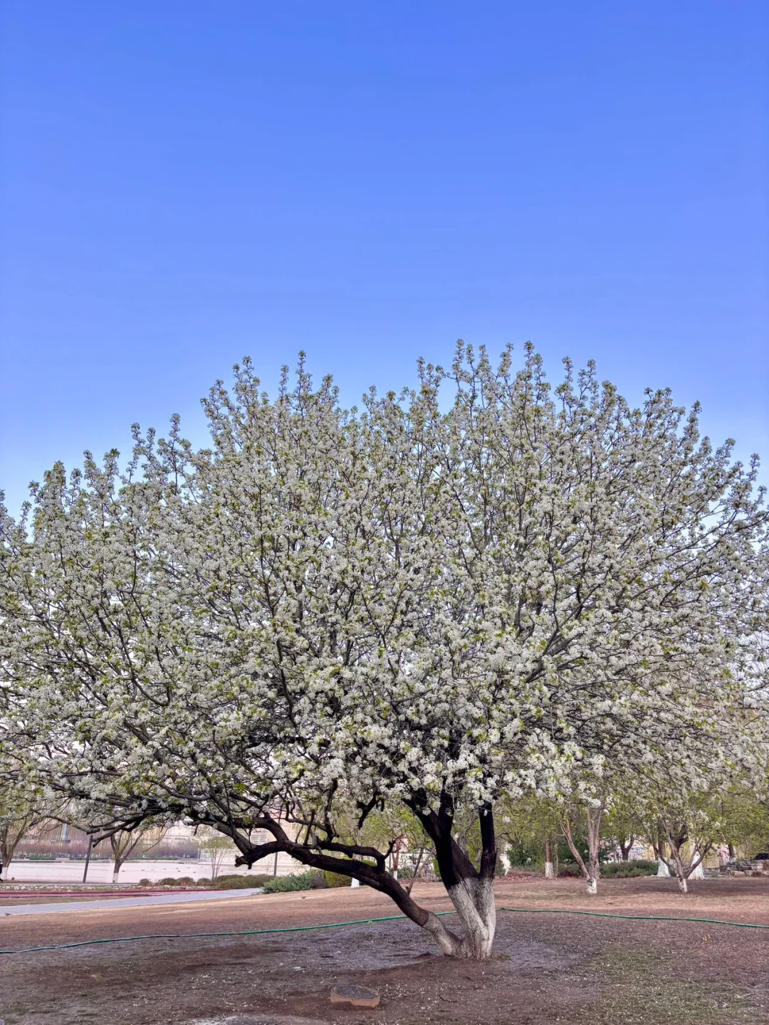 去天津前听点不一样的实话吧……