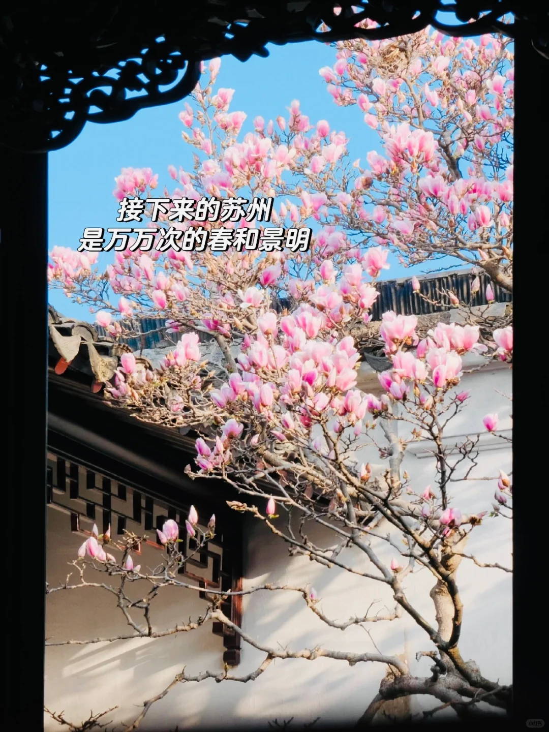 【苏州48小时】人均300+攻略来啦！