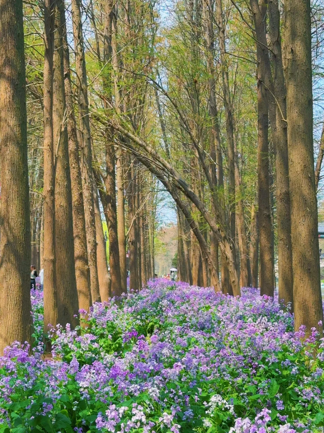 我悟了！反向旅行才是人少的真谛