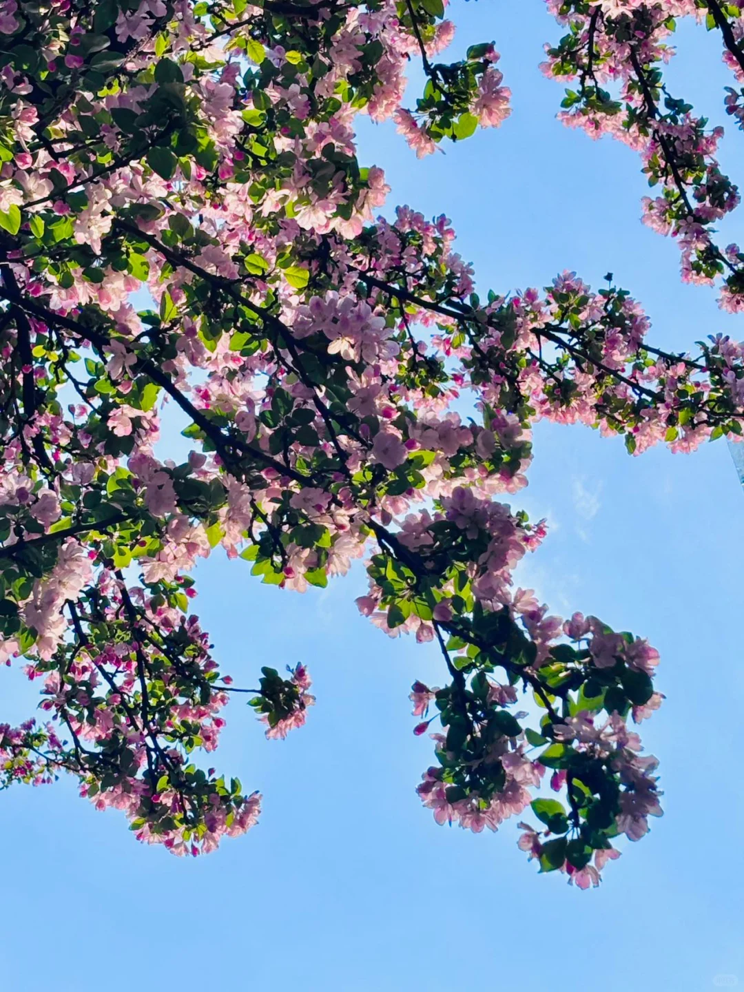 去天津前听点不一样的实话吧……