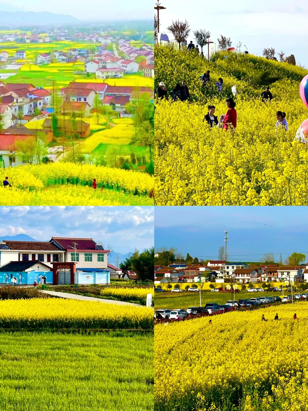 🌸汉中| 3-4月来封神！巴山秘境的治愈之旅