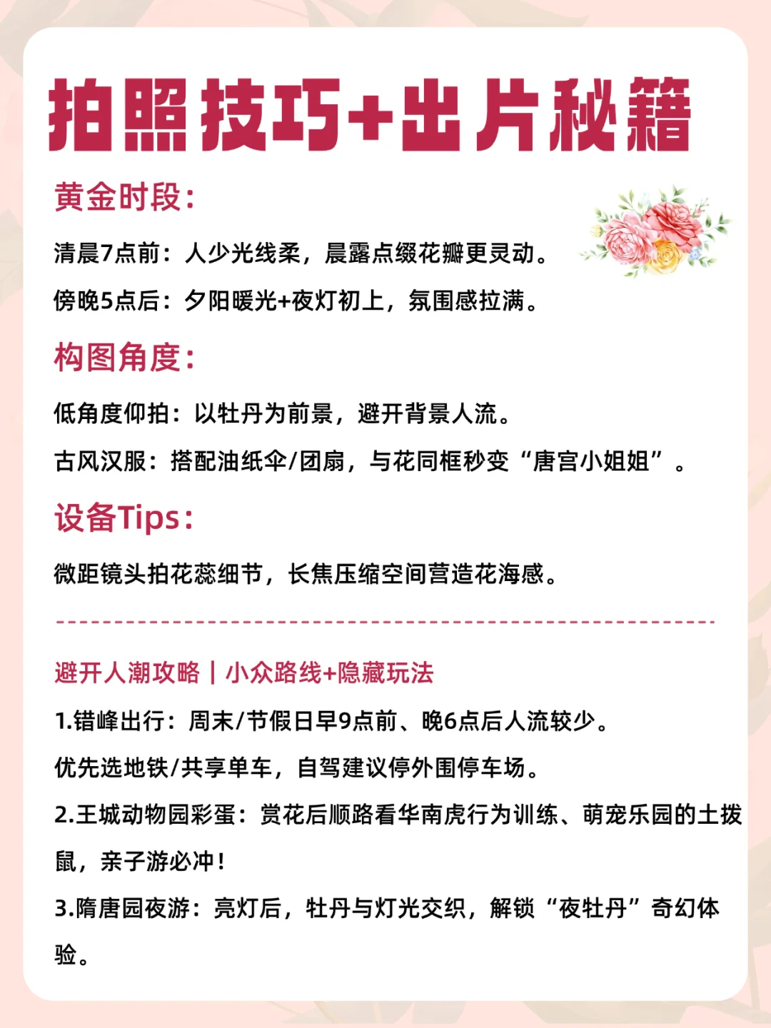 2025河南牡丹赏花攻略✅花期+隐藏玩法