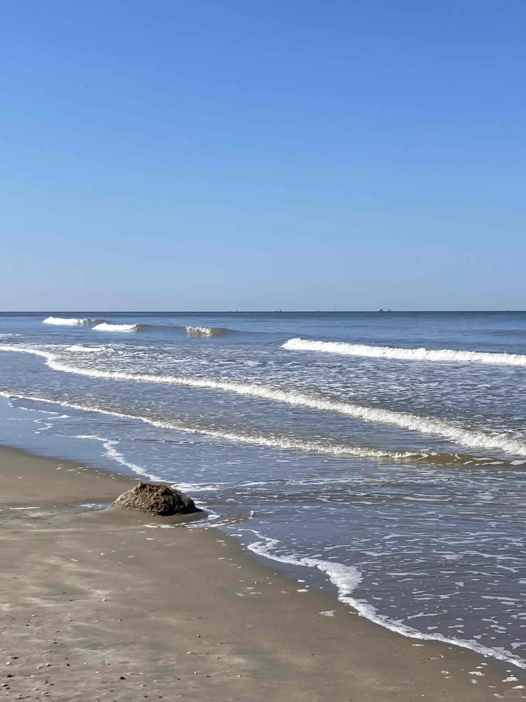 🇳🇱库肯霍夫周边（花田＆海边）