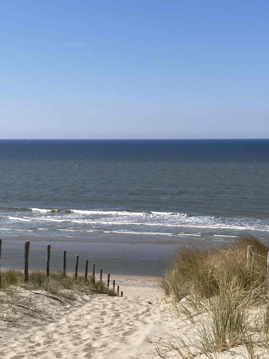 🇳🇱库肯霍夫周边（花田＆海边）