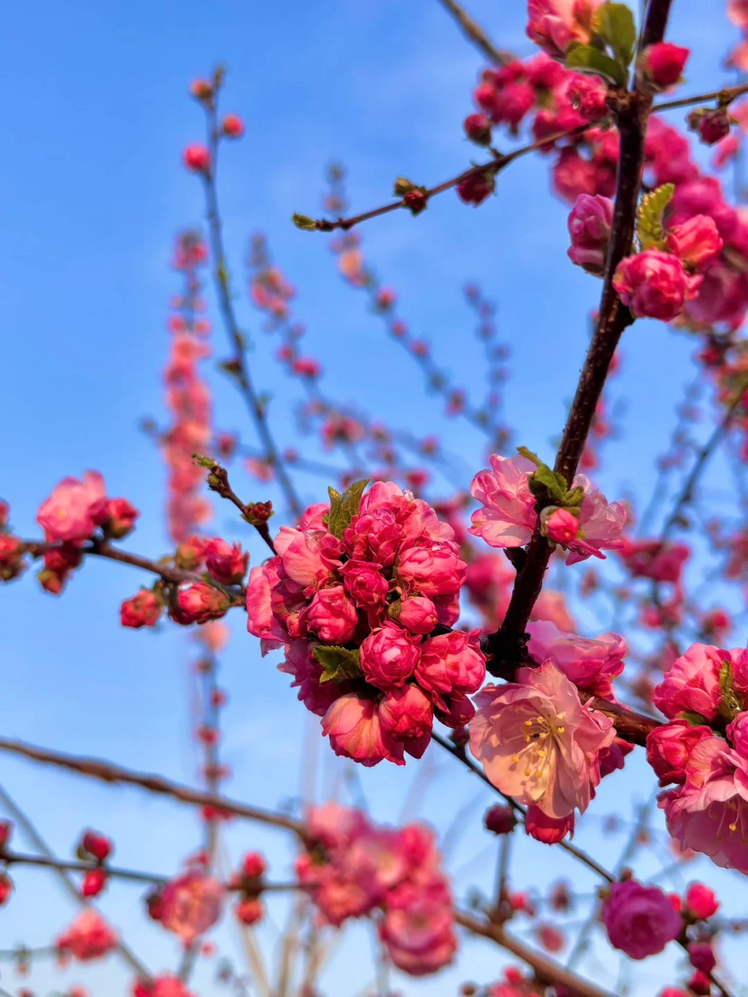 去天津前听点不一样的实话吧……