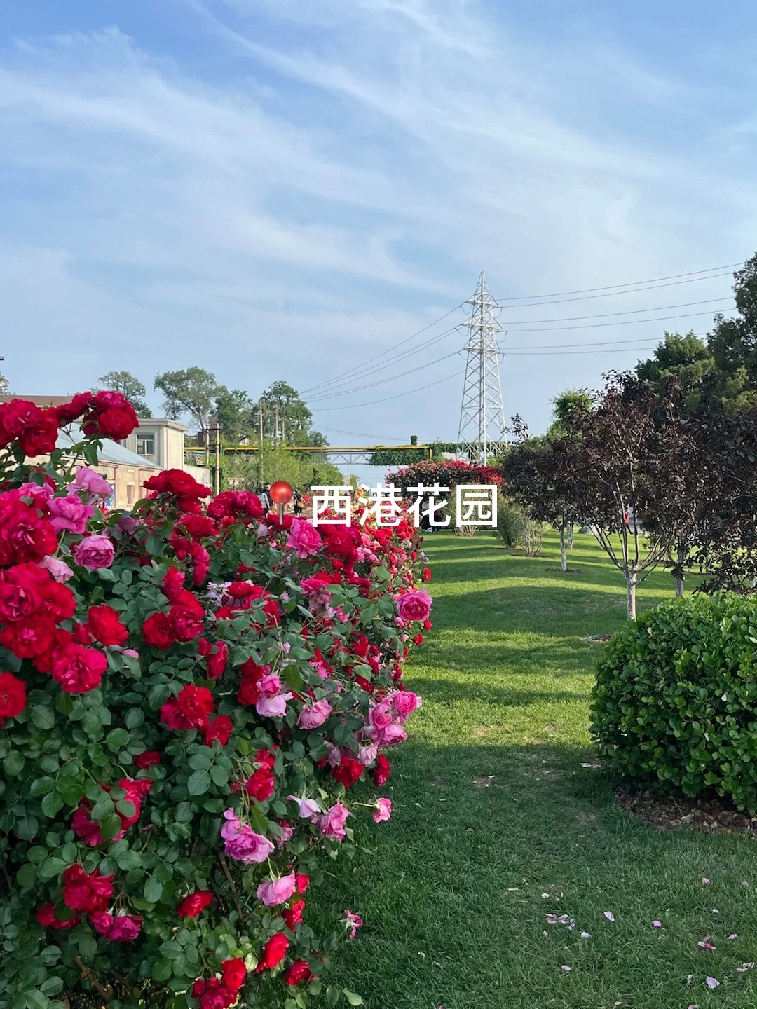 秦皇岛|3天2晚人均500💰,性价比超哇塞‼️