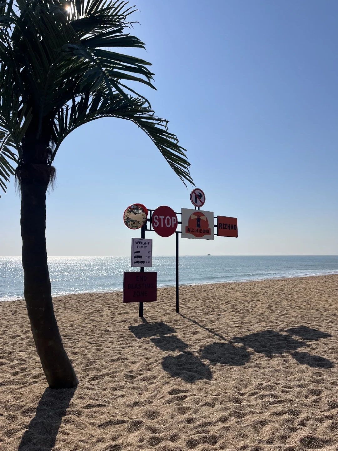 本人做的日照旅游攻略已经next level了‼️