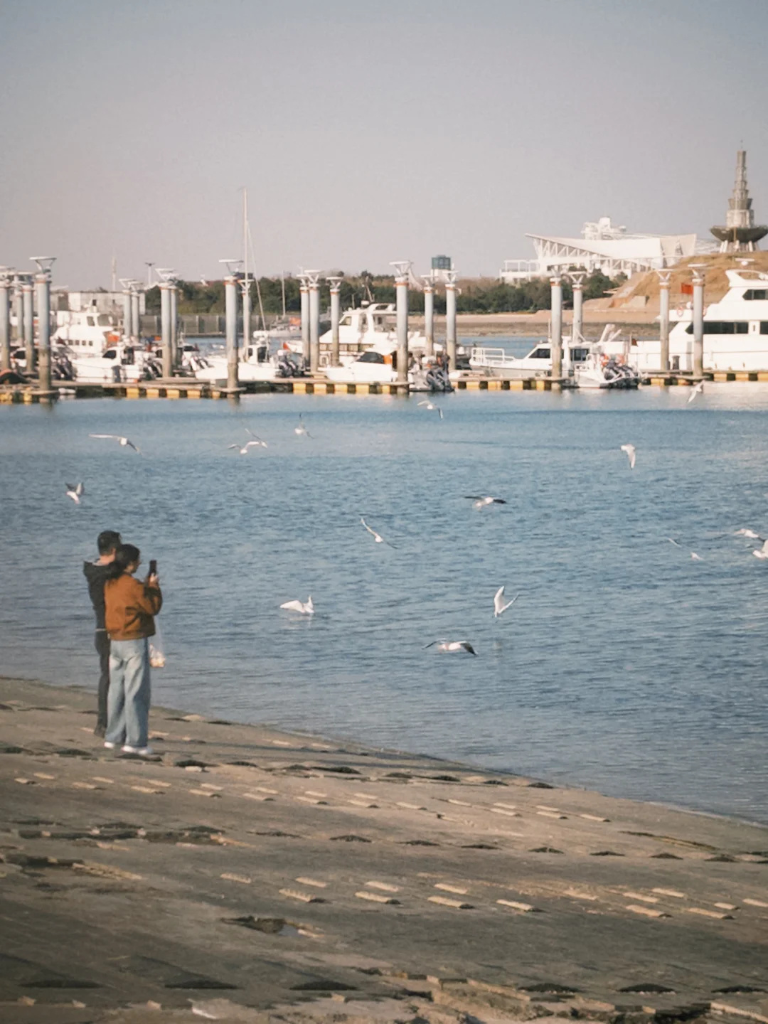 本人做的日照旅游攻略已经next level了‼️