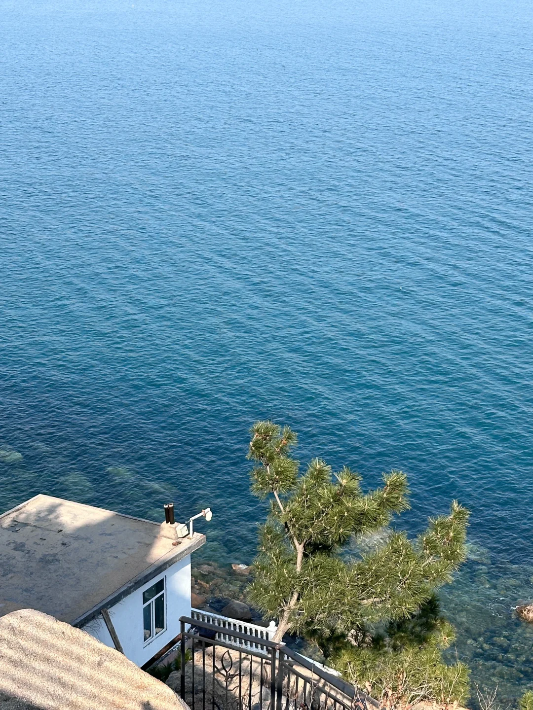 听劝‼️清明来青岛的注意⚠️