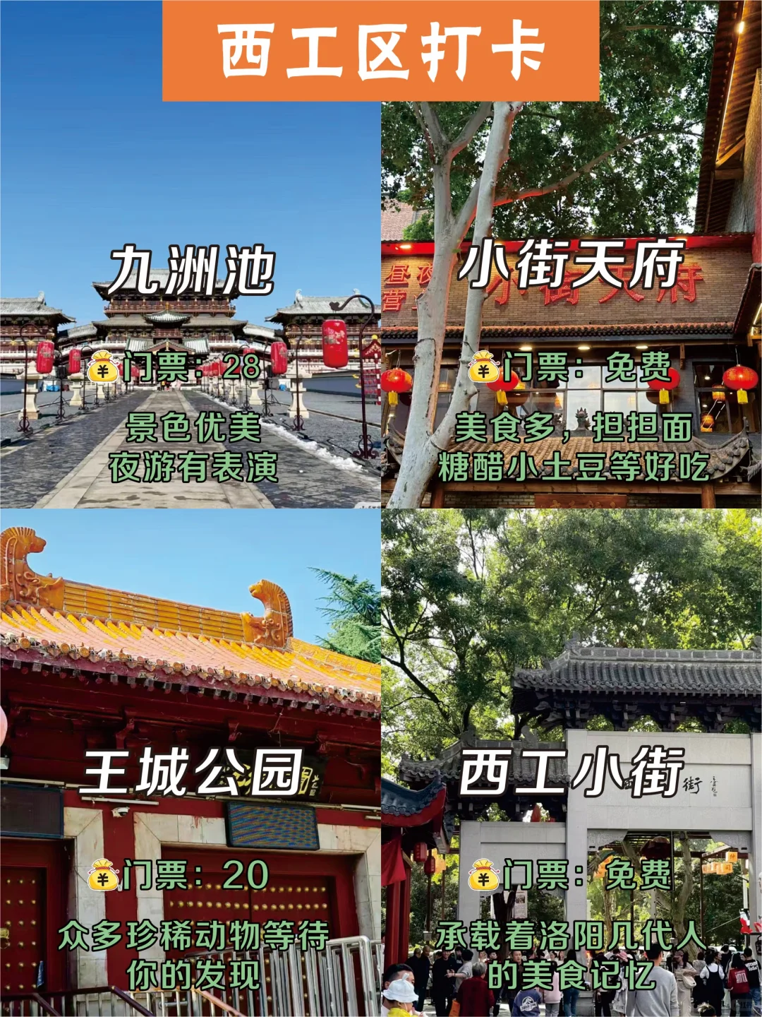 🔥去洛阳前先了解景点分布‼️初次来的快码住