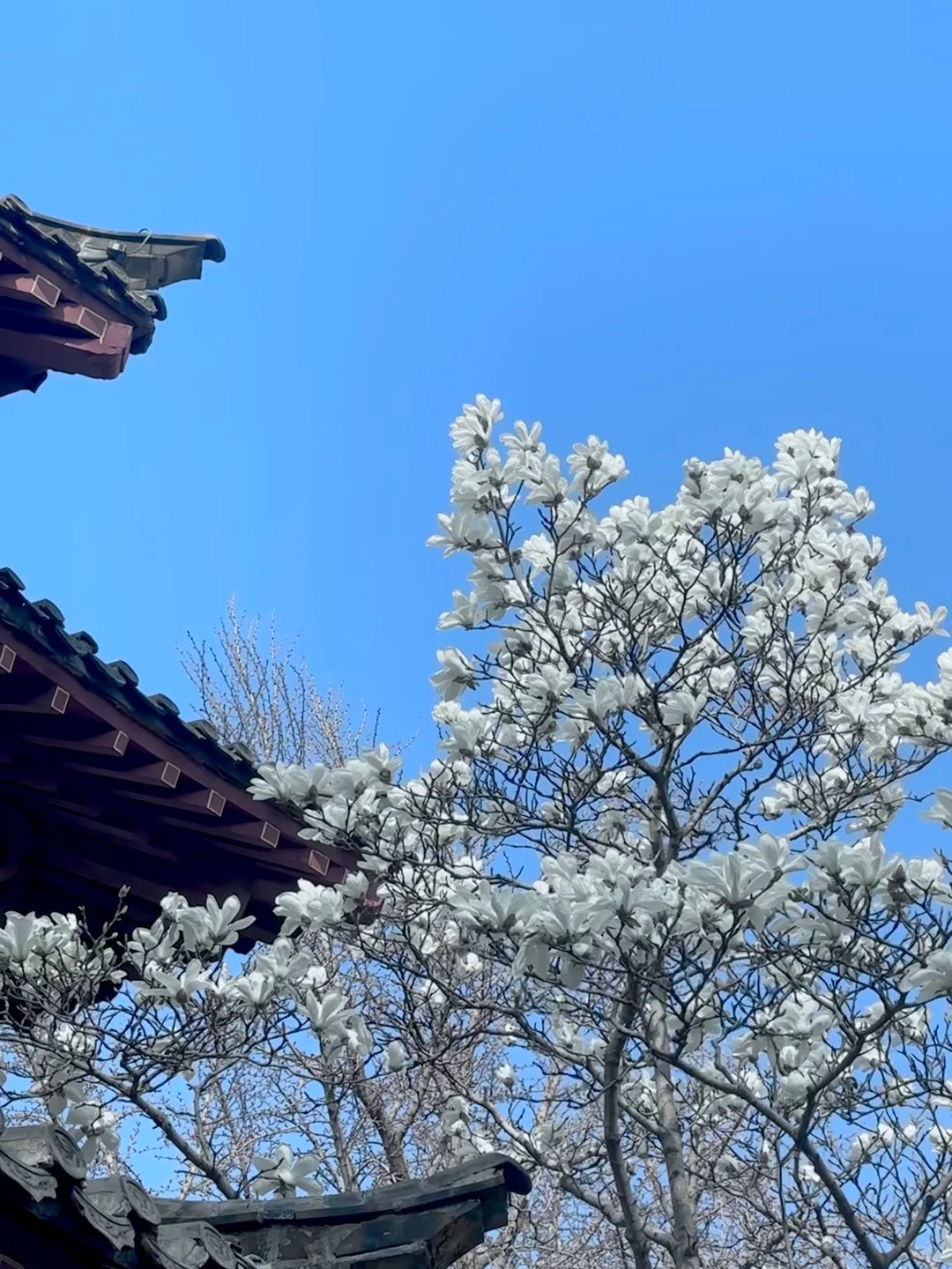 济南已回...真心提醒4月打算去的朋友们🤬