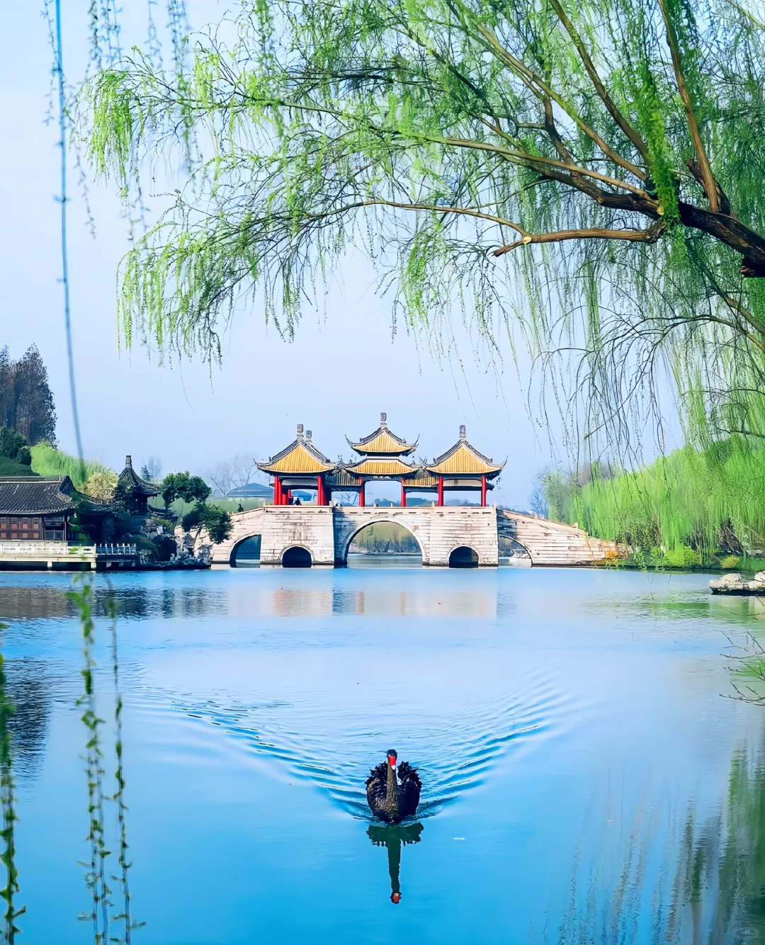 🌸烟花三月下扬州 | 超详细旅游攻略✨