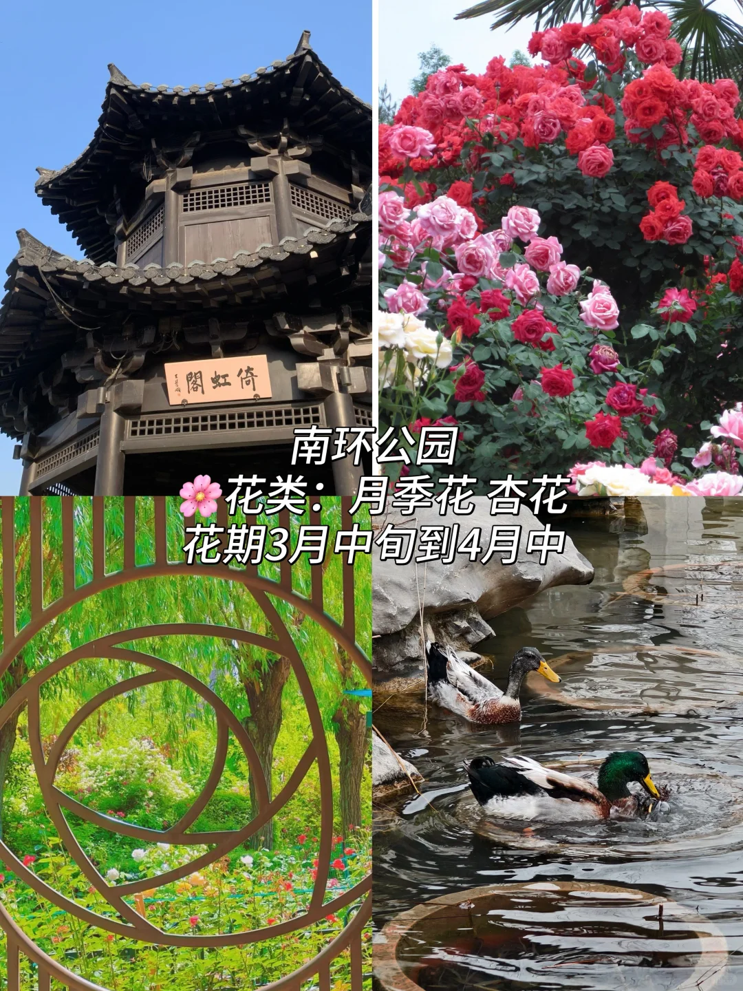 郑州这10个地方最近一定要去！（附赏花时间表