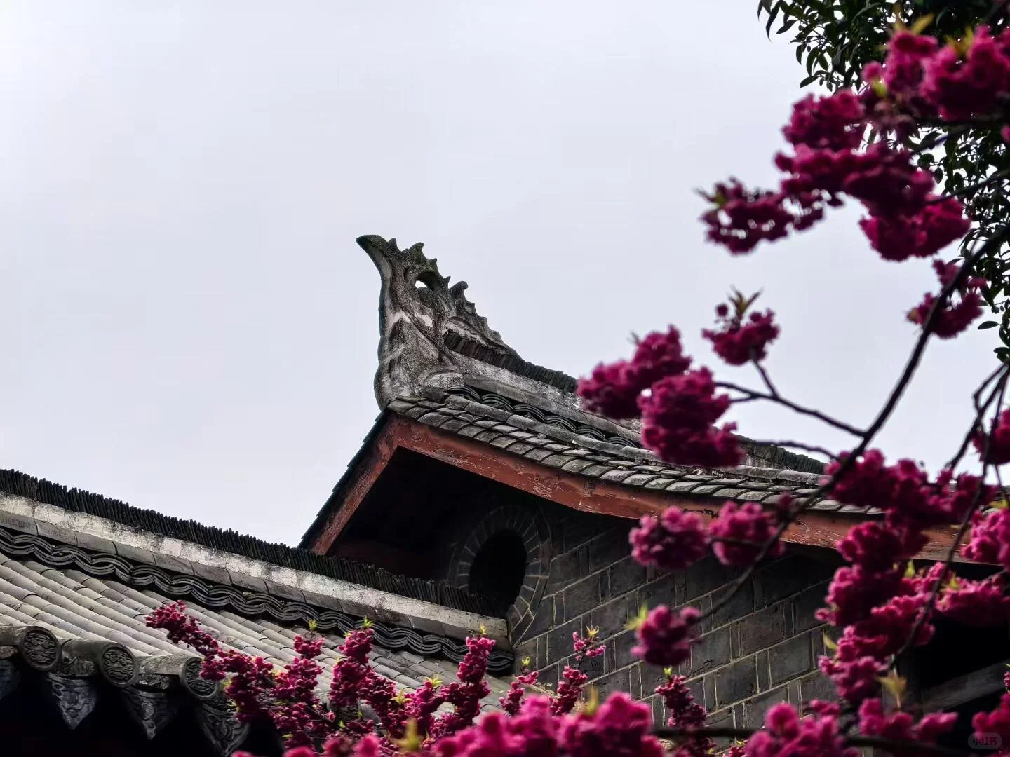 新县中山阁与紫薇花🌷🌸