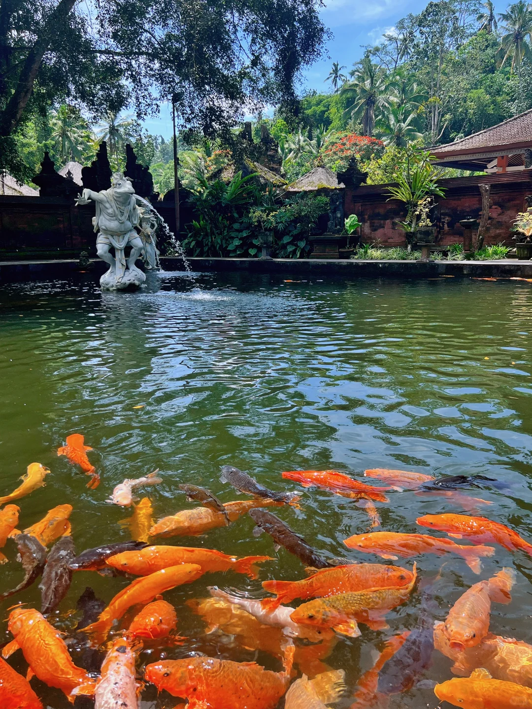 巴厘岛特种兵之旅