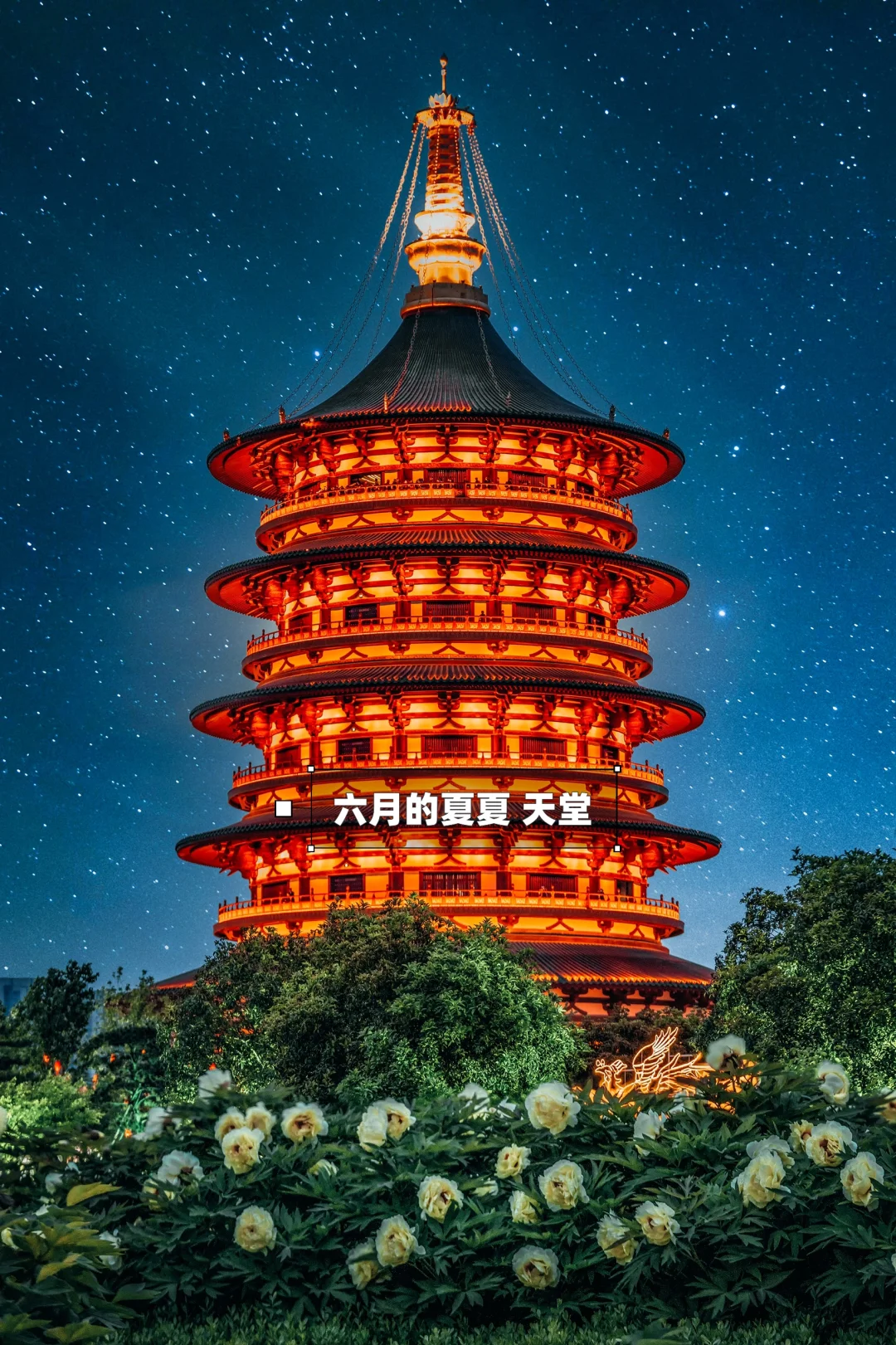 🌸洛阳攻略｜本地人推荐3天2晚玩转全部景