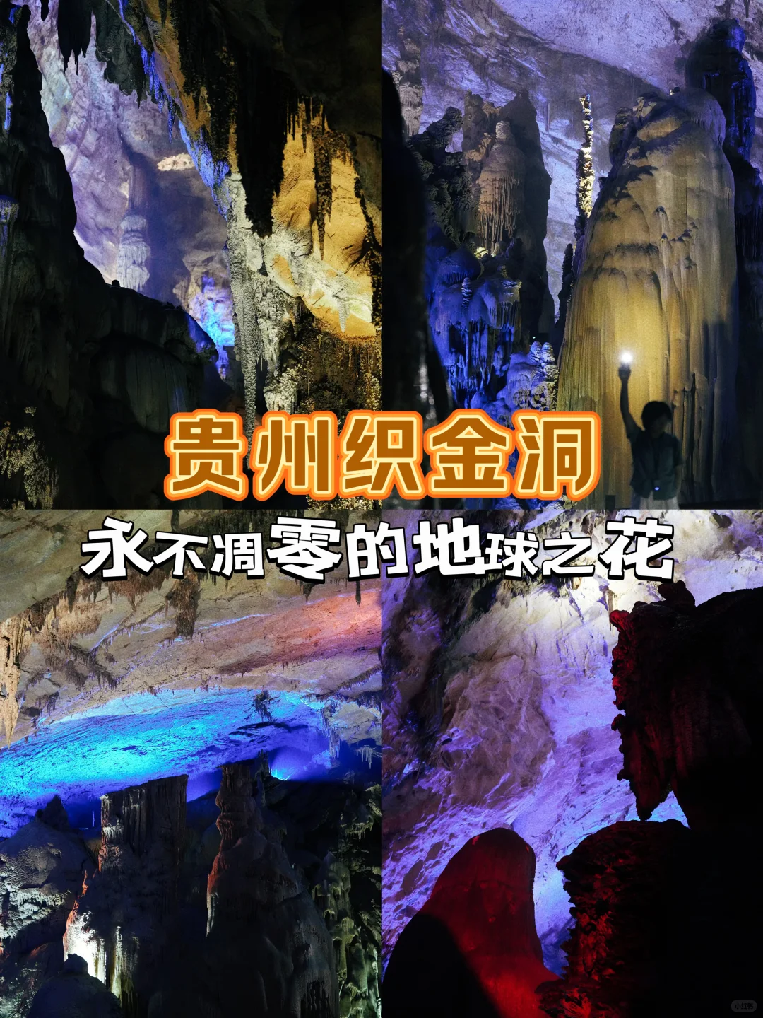 探秘贵州地球之花