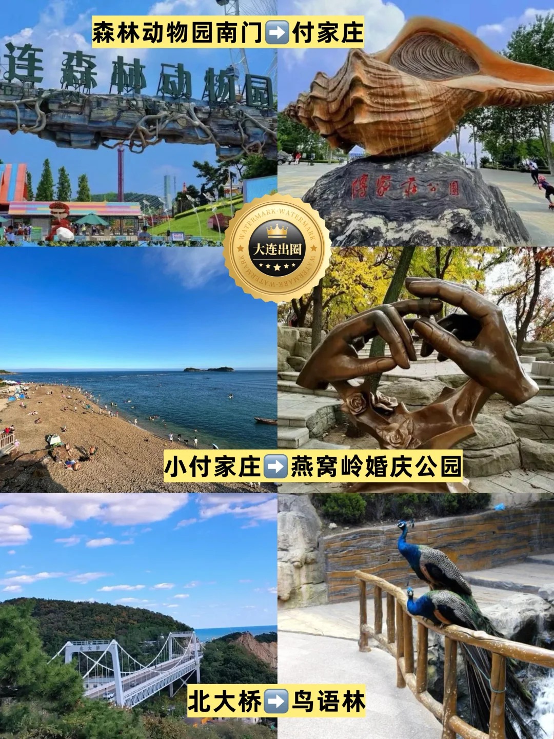 大连环城巴士🚌一票畅游25个热门景点‼️攻略