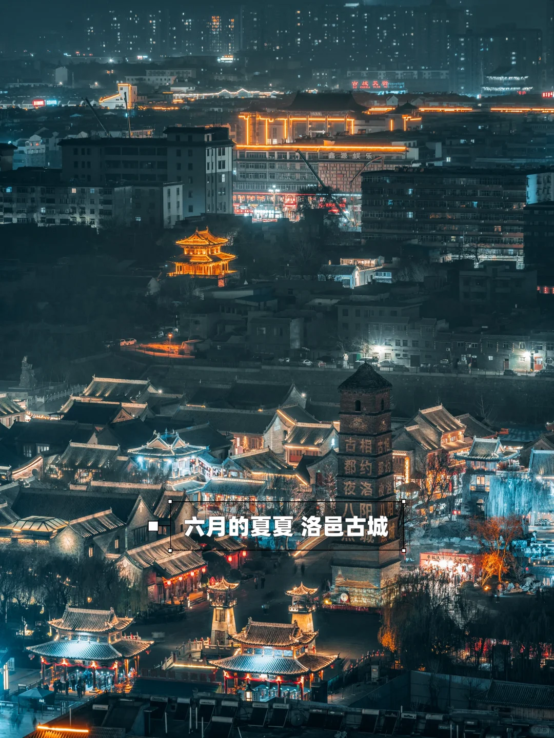 🌸洛阳攻略｜本地人推荐3天2晚玩转全部景