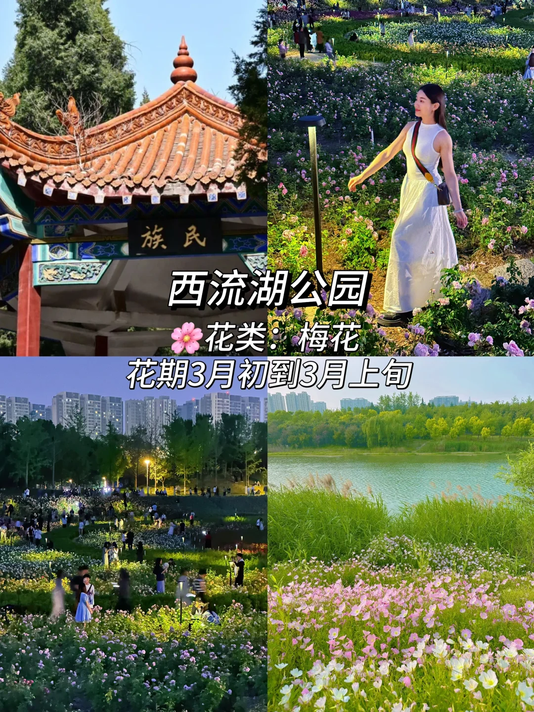 郑州这10个地方最近一定要去！（附赏花时间表