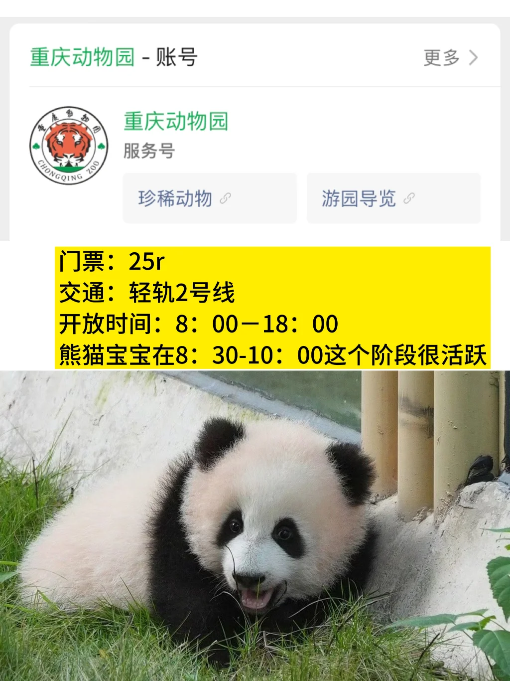 本地人呕心整理重庆景点预🈷指南！