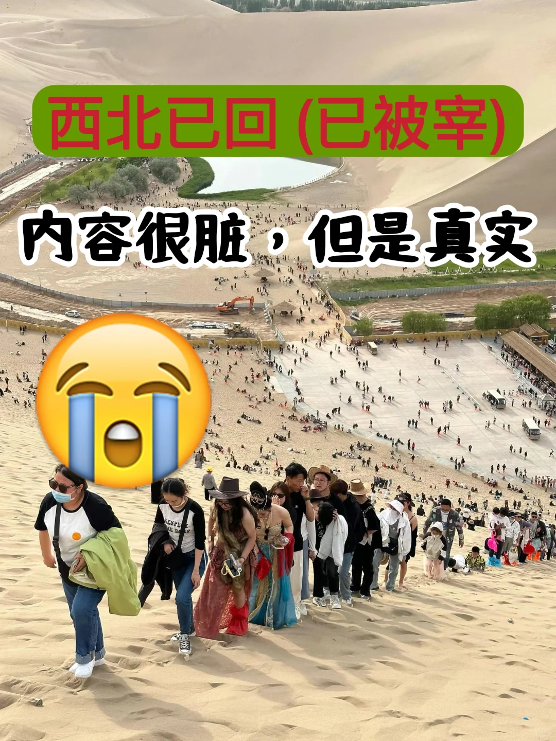 西北已回（已被宰），内容很脏，但是真实！