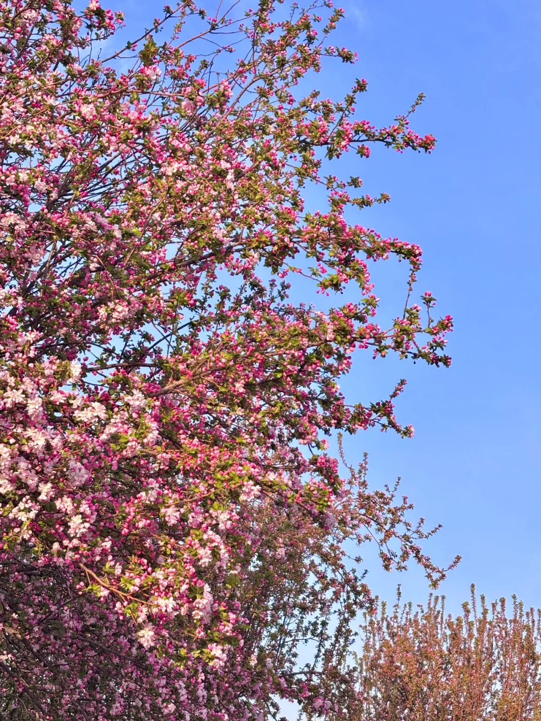 去天津前听点不一样的实话吧……