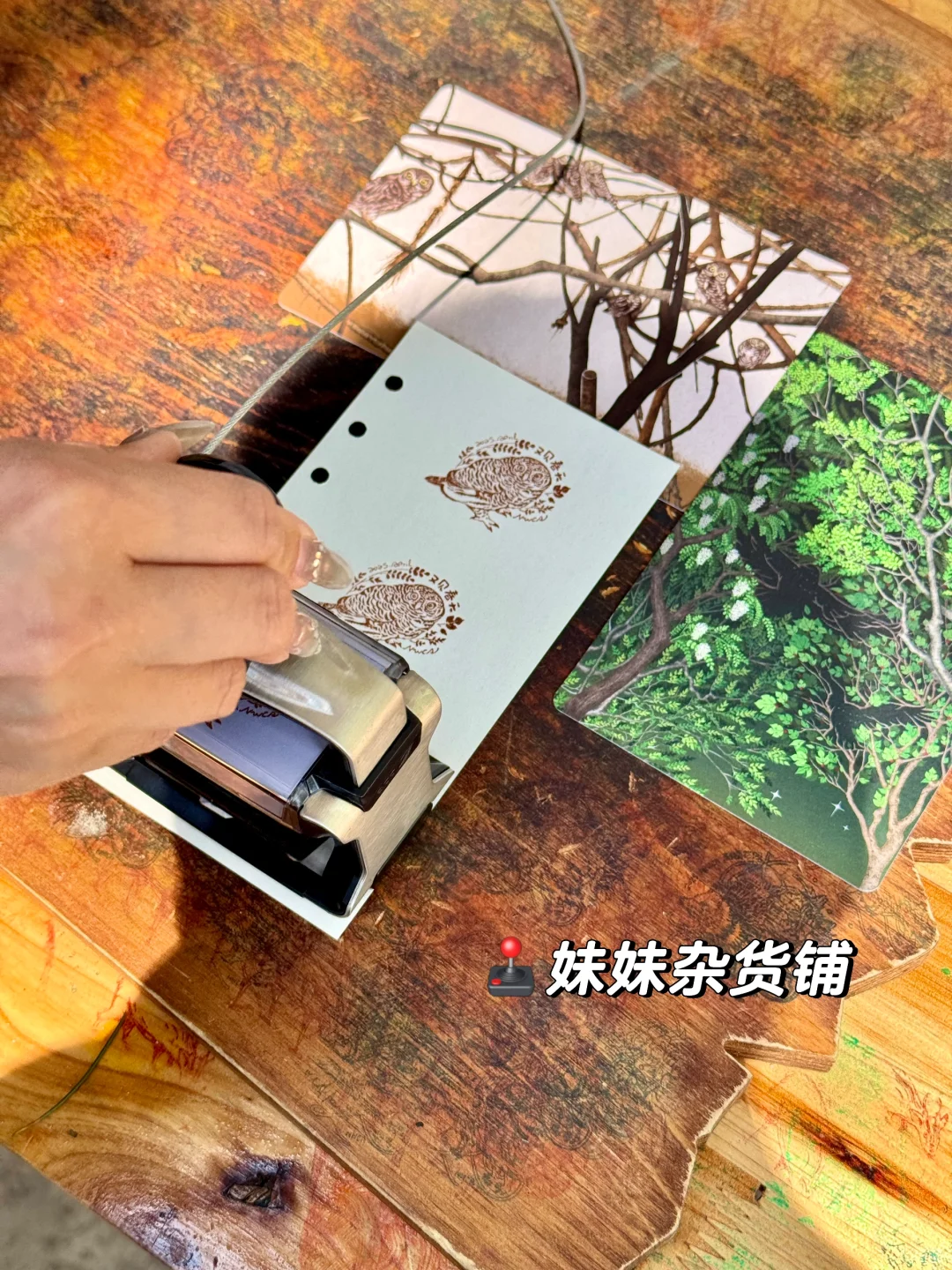 南京红山动物园4月盖章攻略来啦！！（附位置）