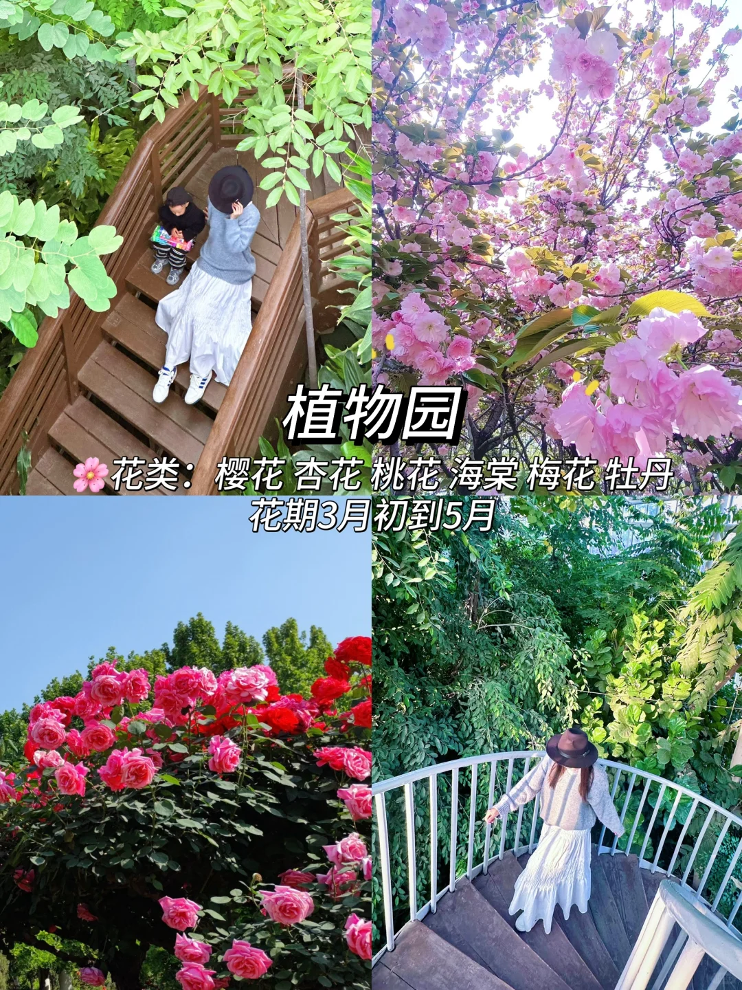 郑州这10个地方最近一定要去！（附赏花时间表