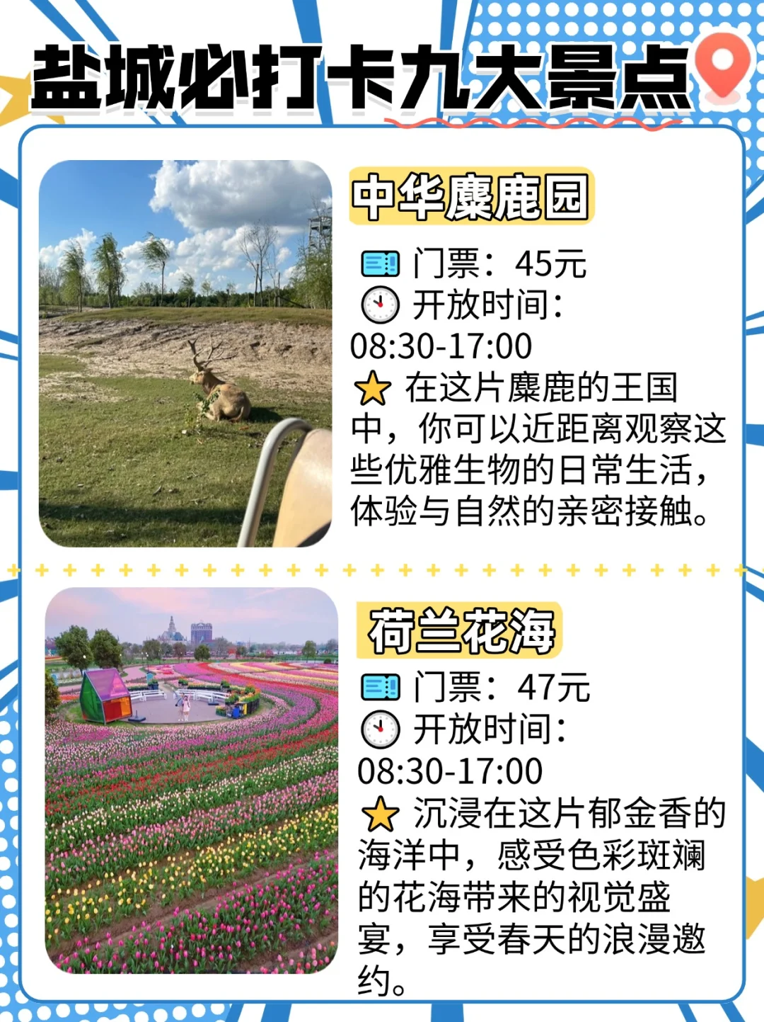 盐城必游九大景点，解锁城市魅力地图🗺️