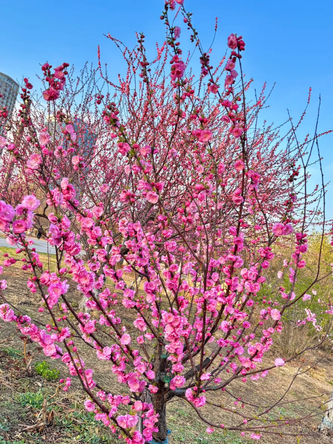 去天津前听点不一样的实话吧……