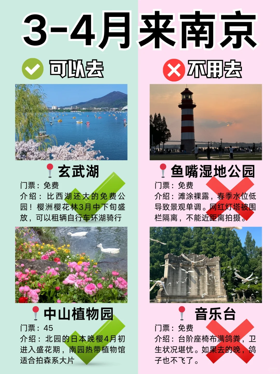 南京3月景点红黑榜📍建议去🆚不建议去