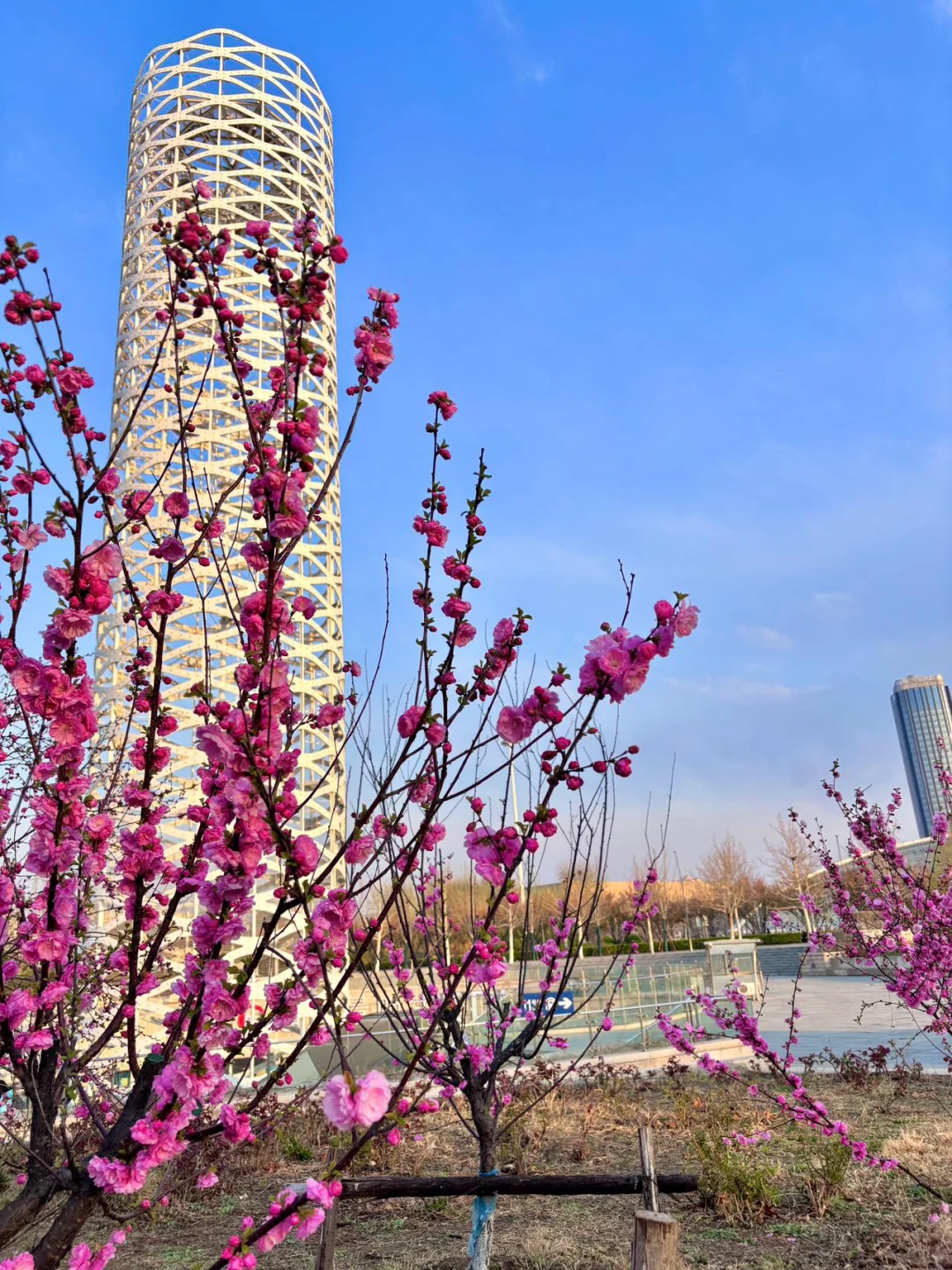 去天津前听点不一样的实话吧……