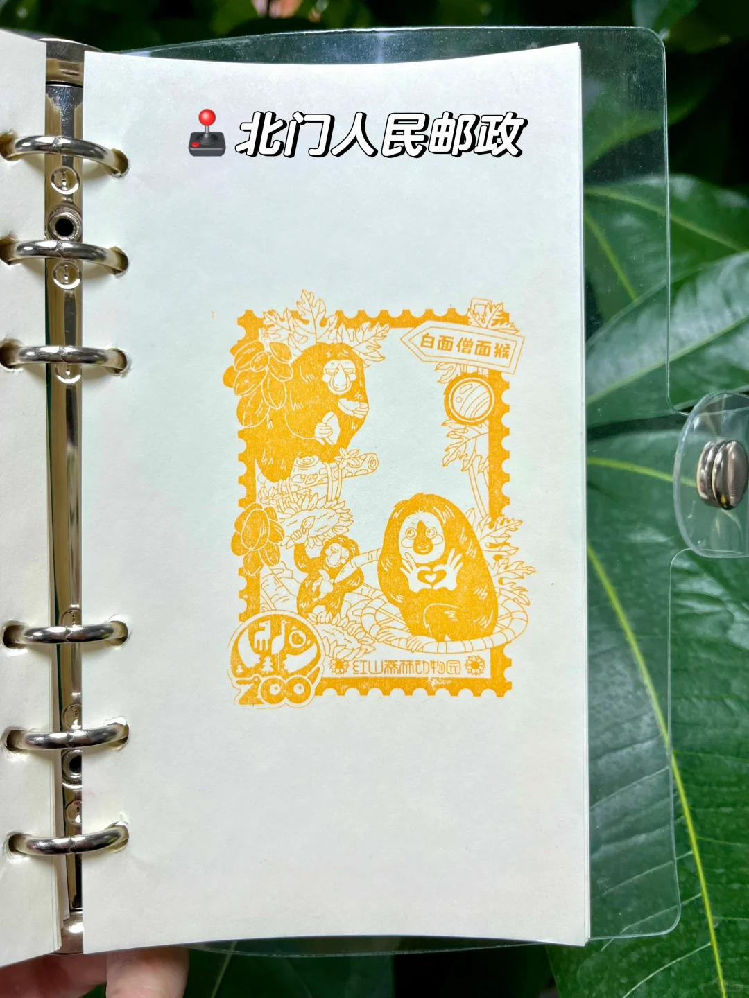 南京红山动物园4月盖章攻略来啦！！（附位置）