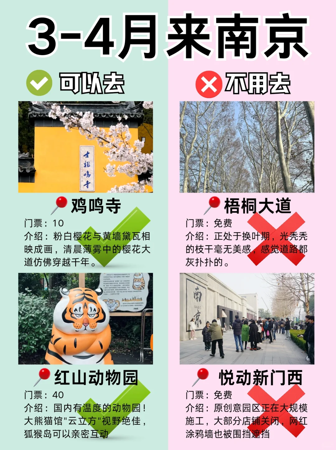 南京3月景点红黑榜📍建议去🆚不建议去