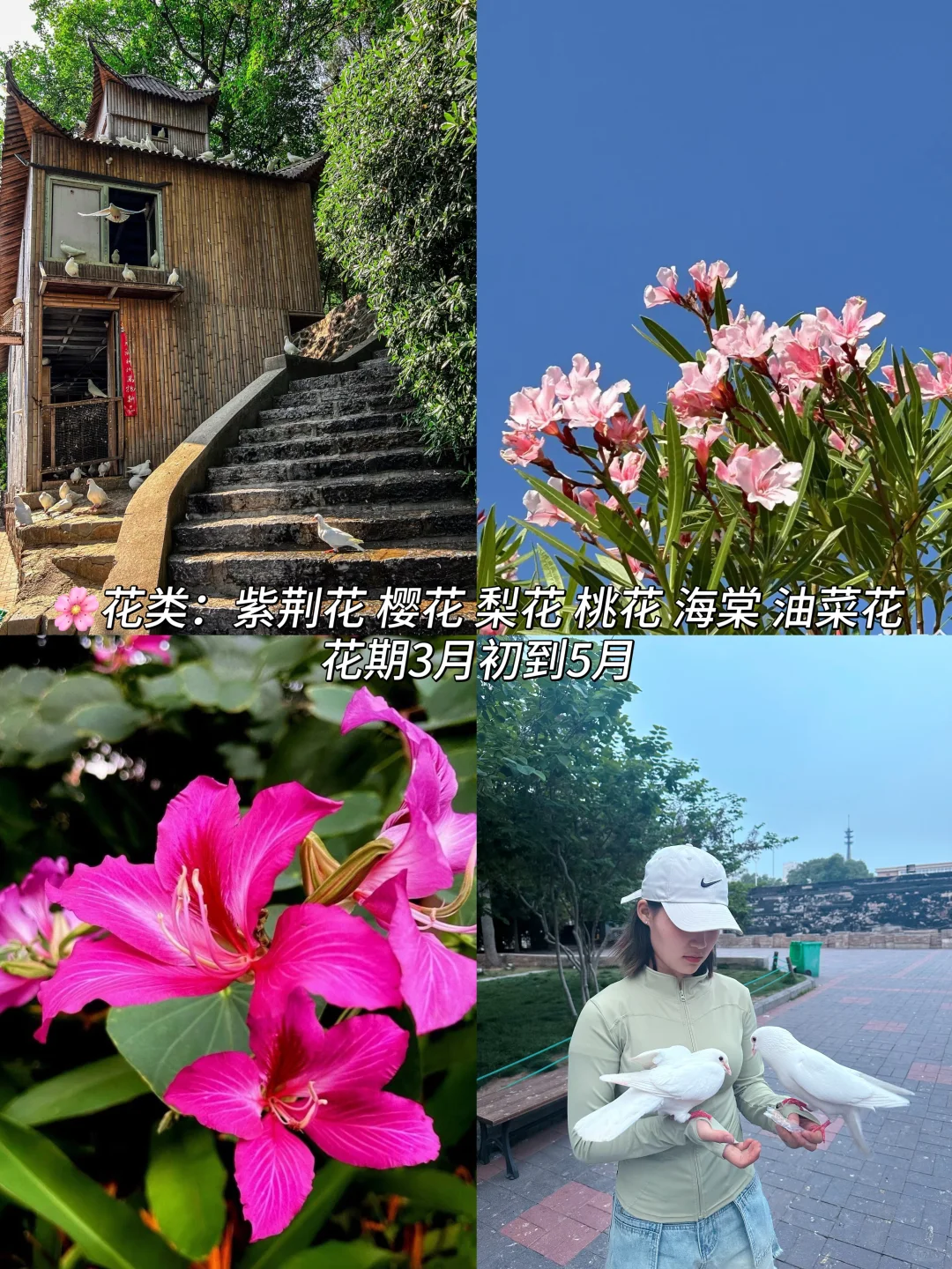 郑州这10个地方最近一定要去！（附赏花时间表