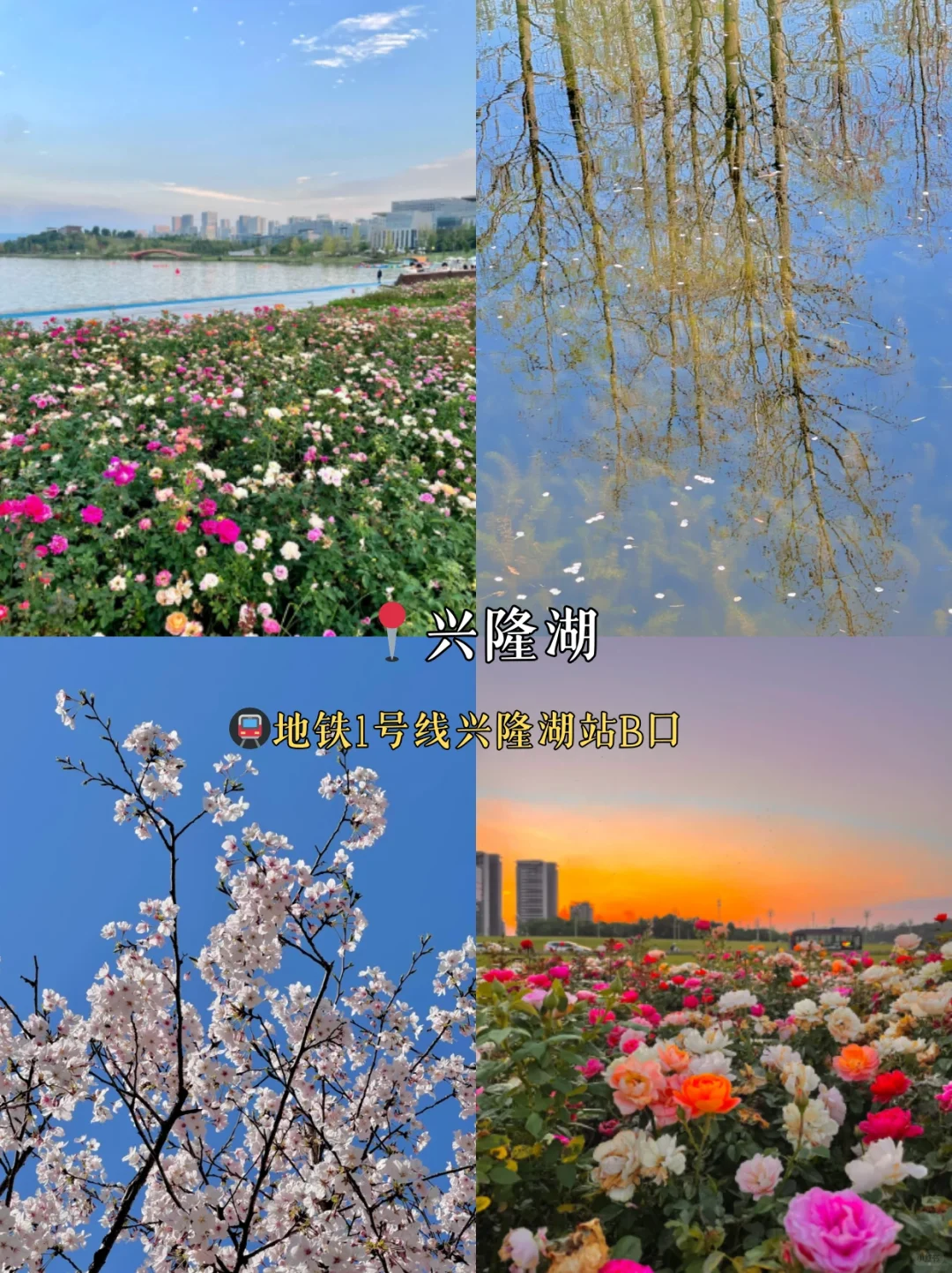 清明避开人潮‼成都12个小众旅游景点推荐