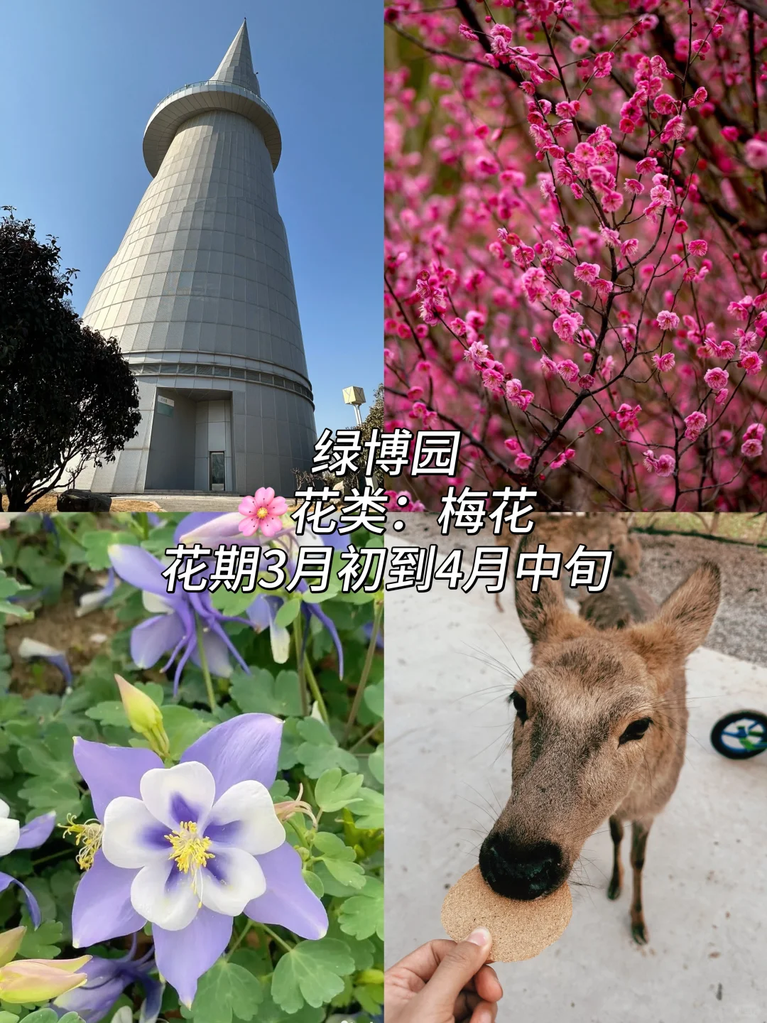 郑州这10个地方最近一定要去！（附赏花时间表