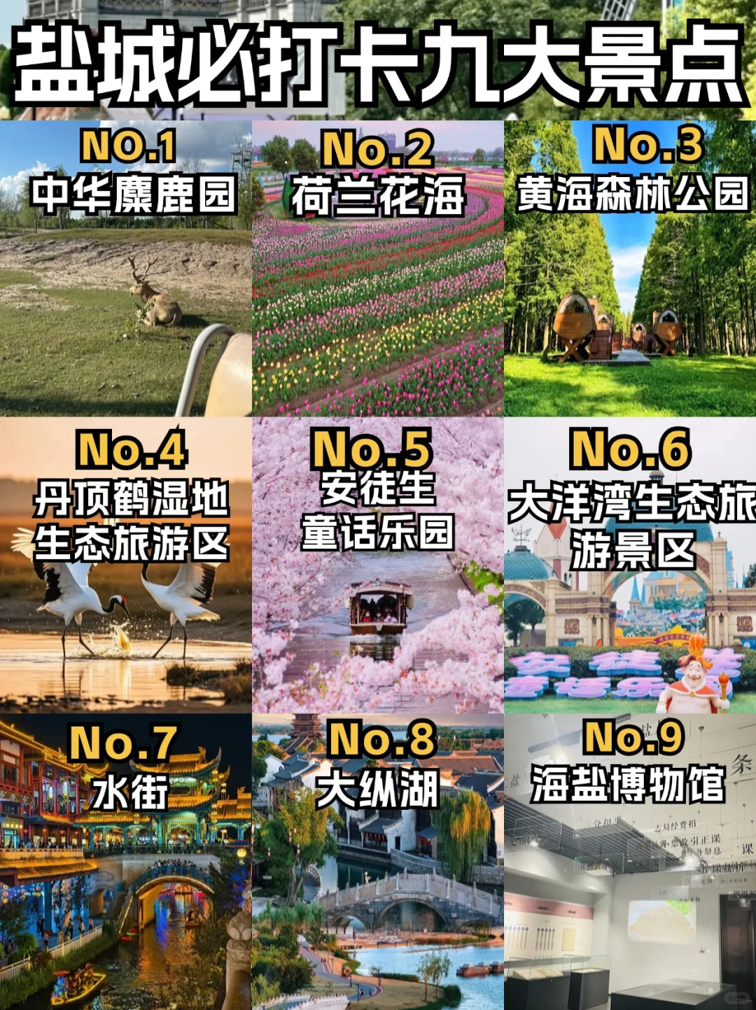 盐城必游九大景点，解锁城市魅力地图🗺️