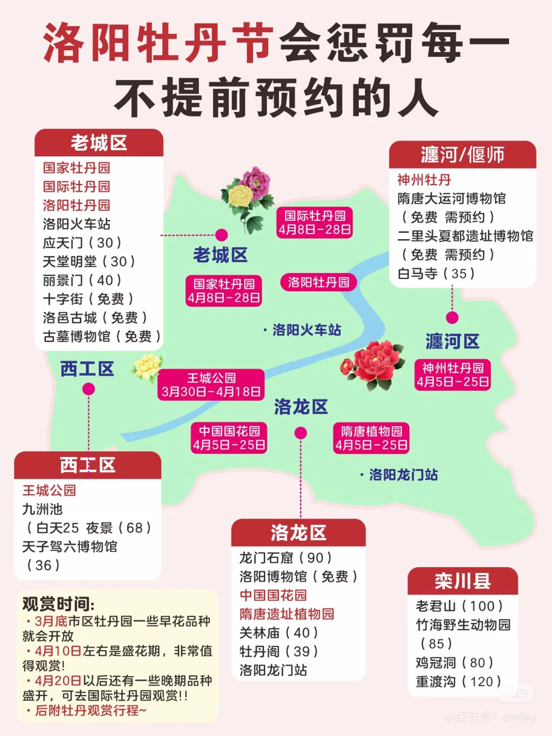 洛阳牡丹节🌺会惩罚每一不预约的人