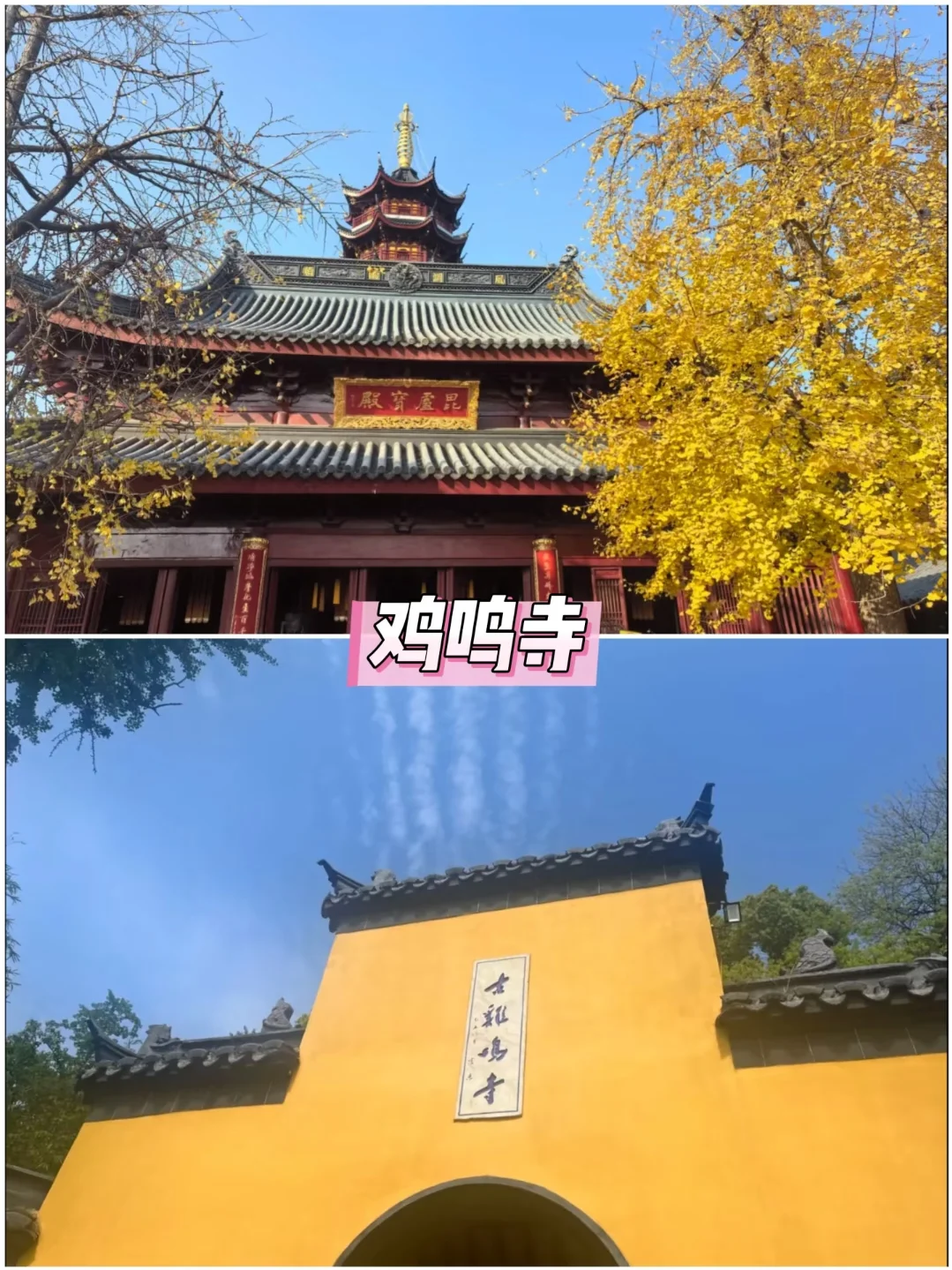 📣保姆级攻略来南京旅游的看这里!!!