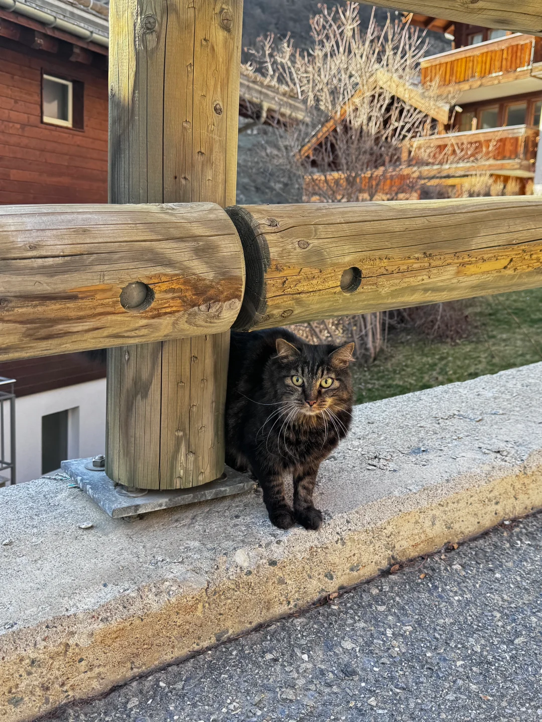 🇨🇭Zermatt采尔马特 雪山下的童话小镇..