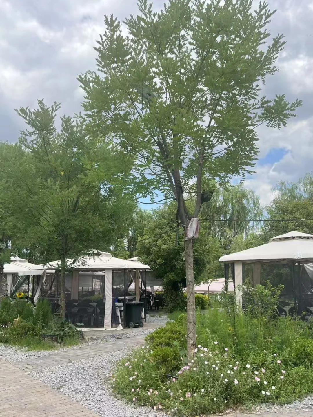 🍖小长假必冲！好玩又好吃神仙地方