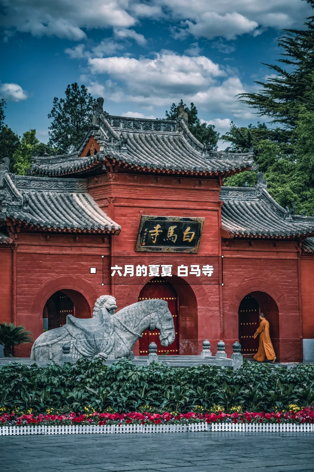 🌸洛阳攻略｜本地人推荐3天2晚玩转全部景