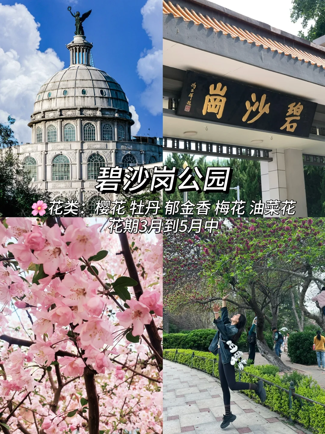 郑州这10个地方最近一定要去！（附赏花时间表