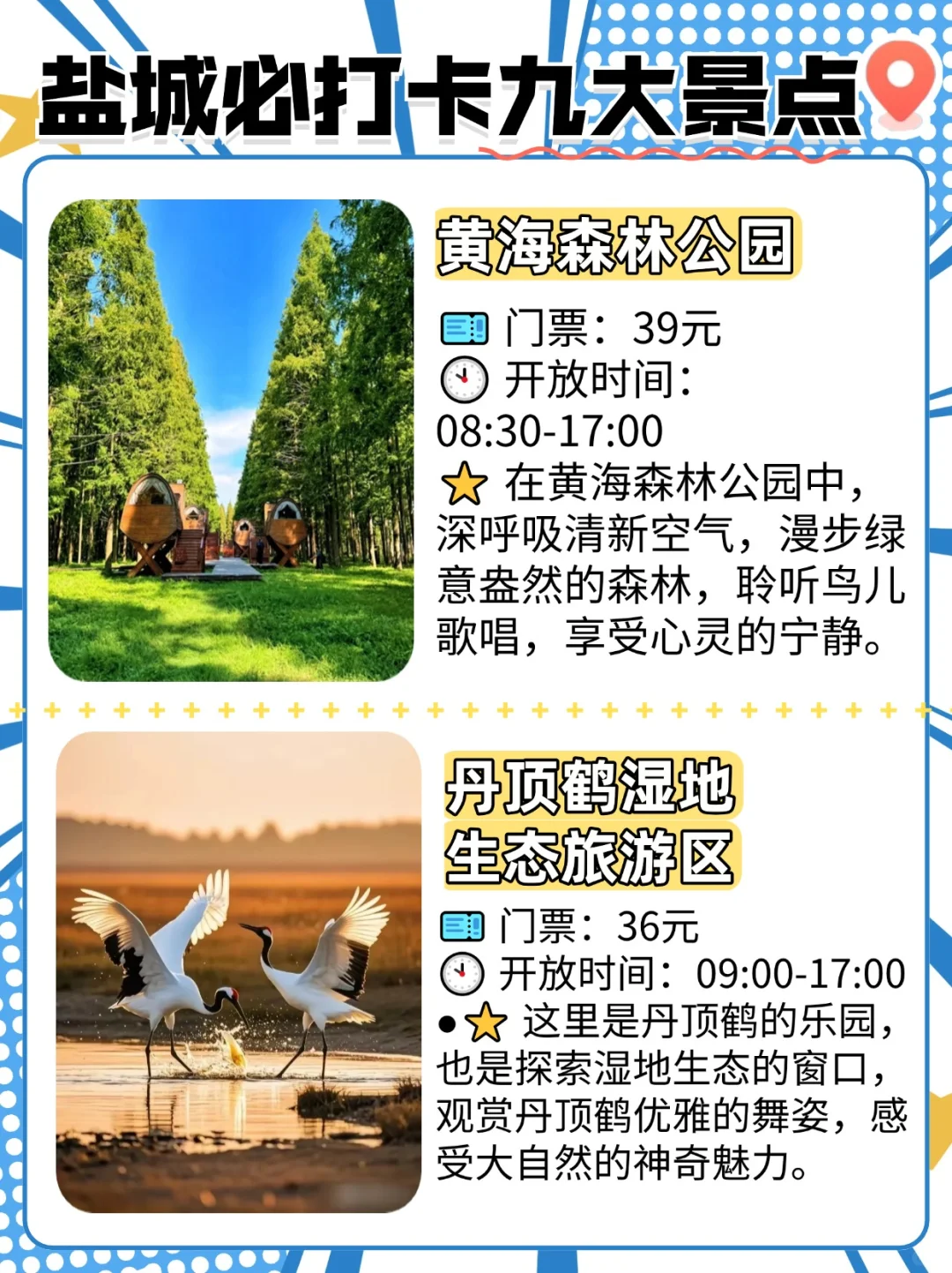 盐城必游九大景点，解锁城市魅力地图🗺️