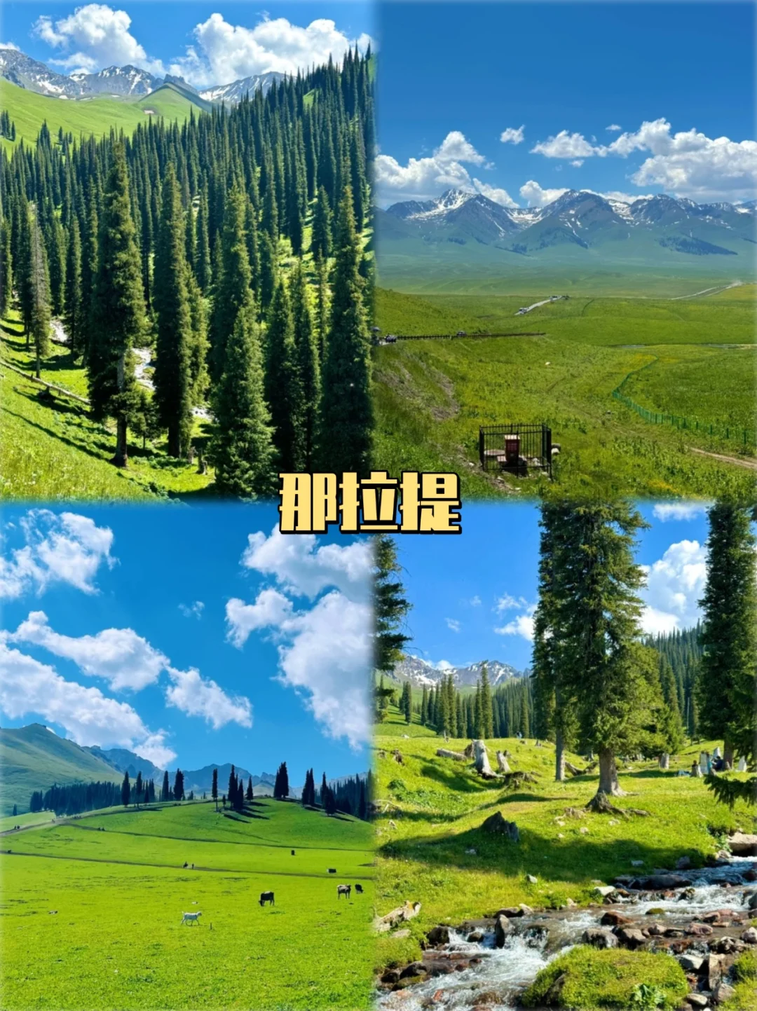 旅游前必看❗新疆必去九大景点❗❗❗