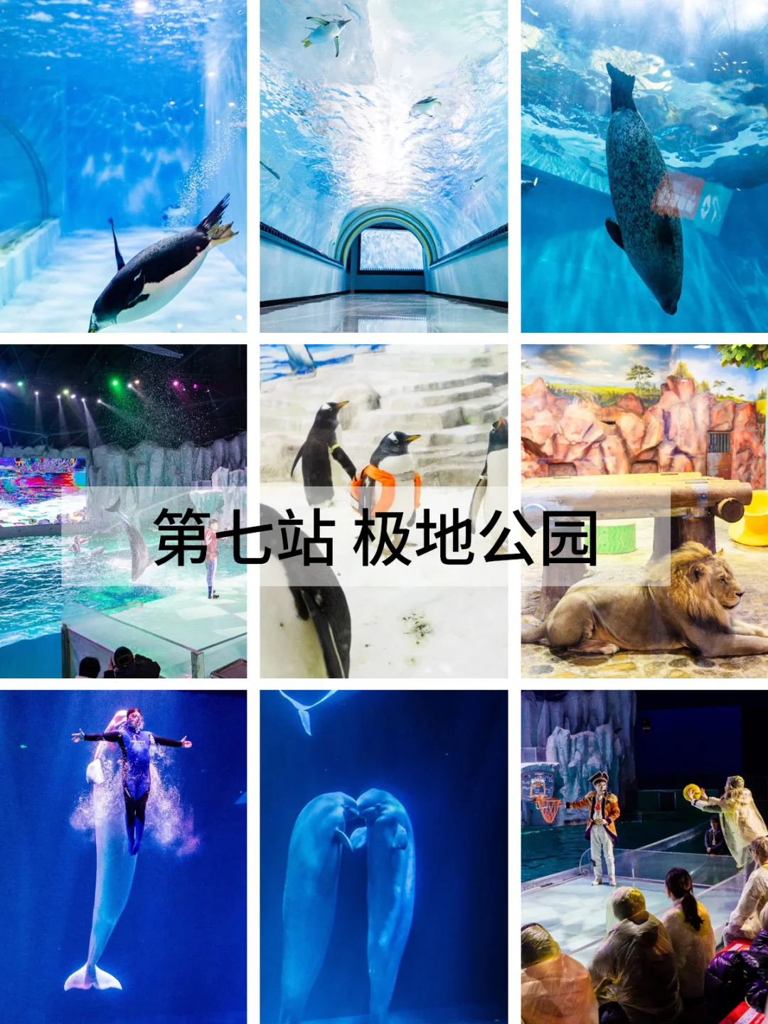 哈尔滨必去的九大景点 你打卡了几个？❄