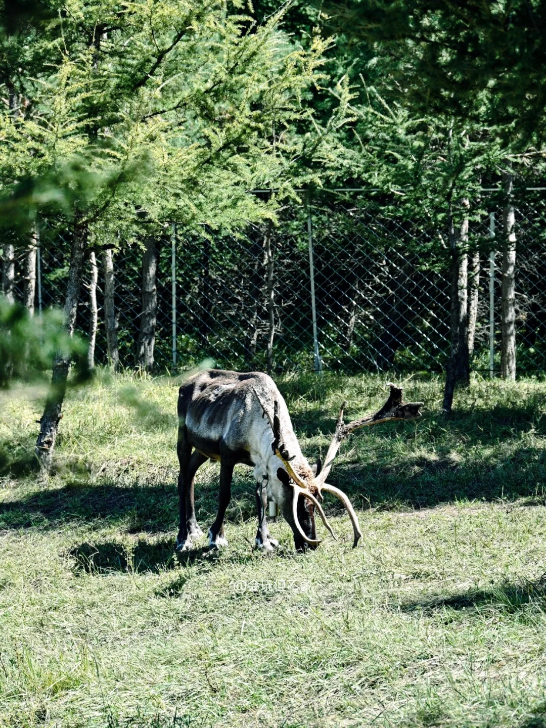 五一放假反向旅游就去乌兰布统！