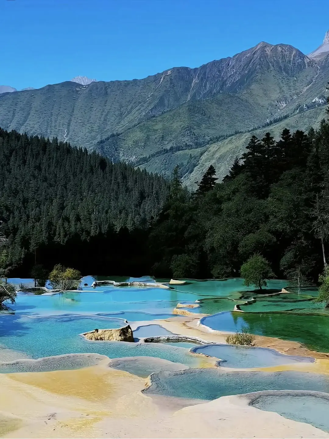 📍黄龙实拍‼终于看到了语文课本的人间瑶池